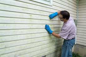 Best Siding Removal and Disposal  in Seagoville, TX